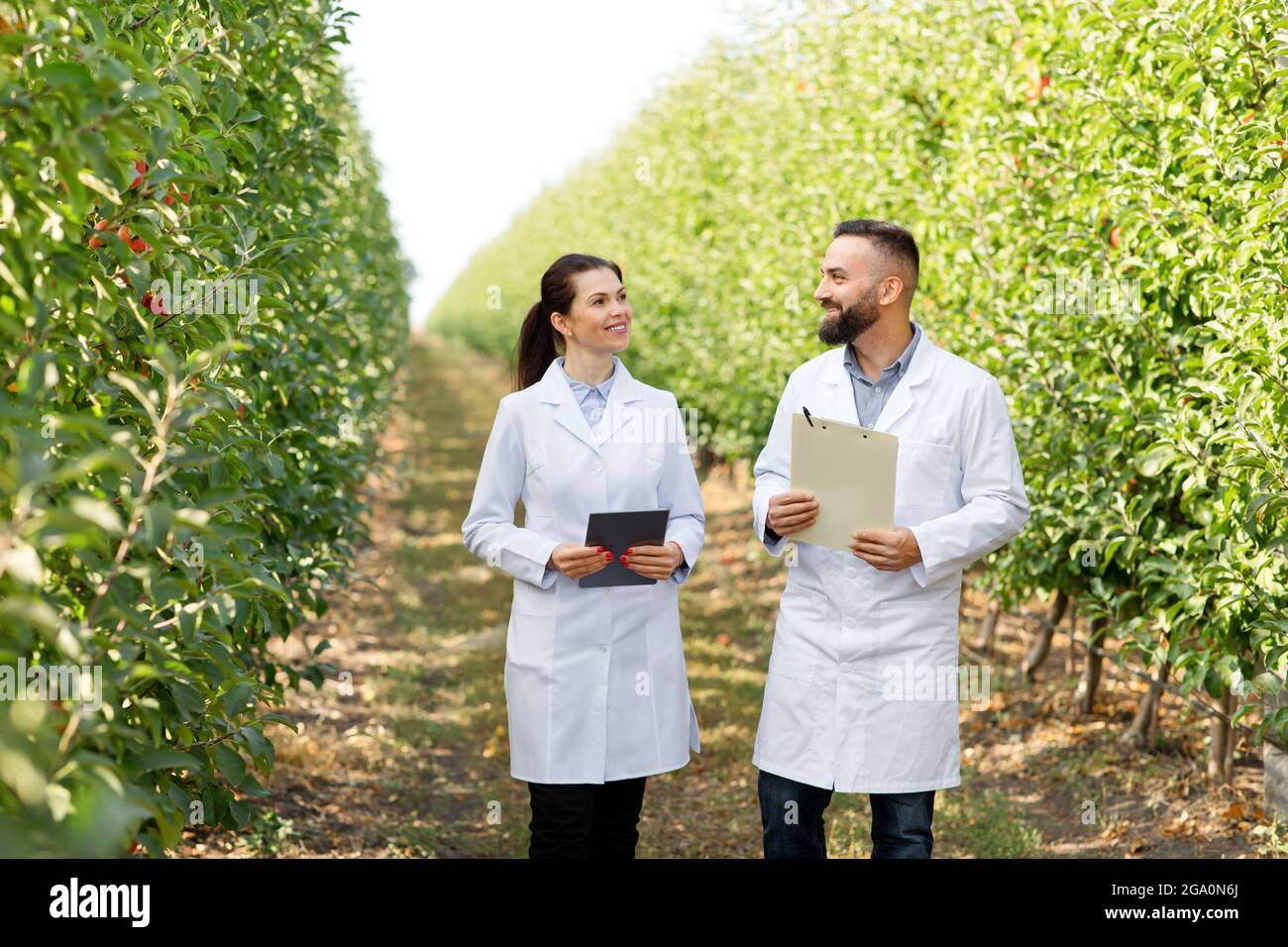 Photo Crop Inspection High quality organic harvest inspection, modern eco business, crop ...