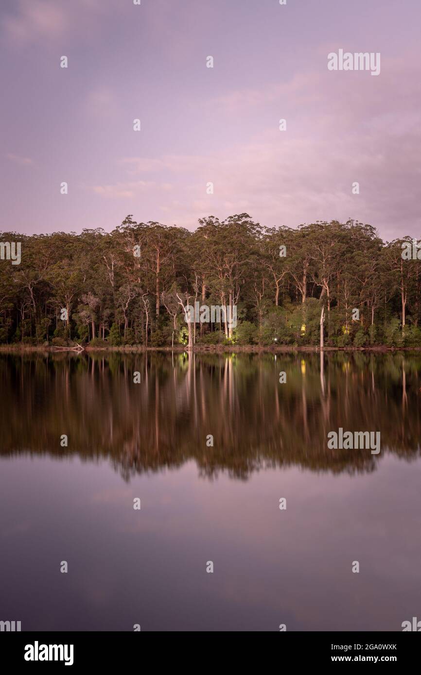 Beautiful forest with its reflection on the lake Stock Photo - Alamy