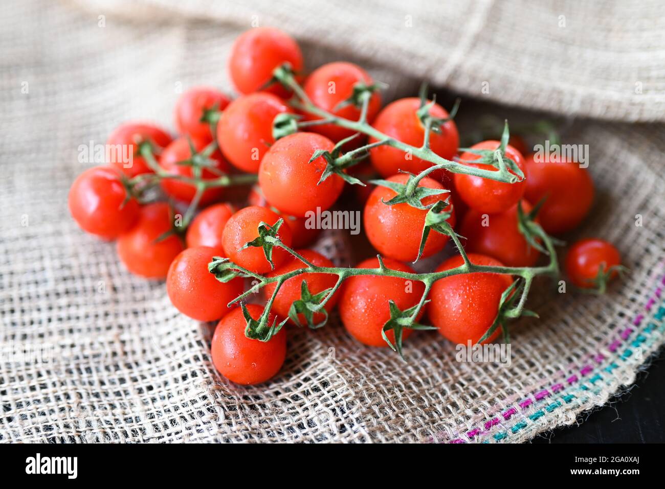delicious vegetables red cherry tomatoes on a branch Stock Photo - Alamy