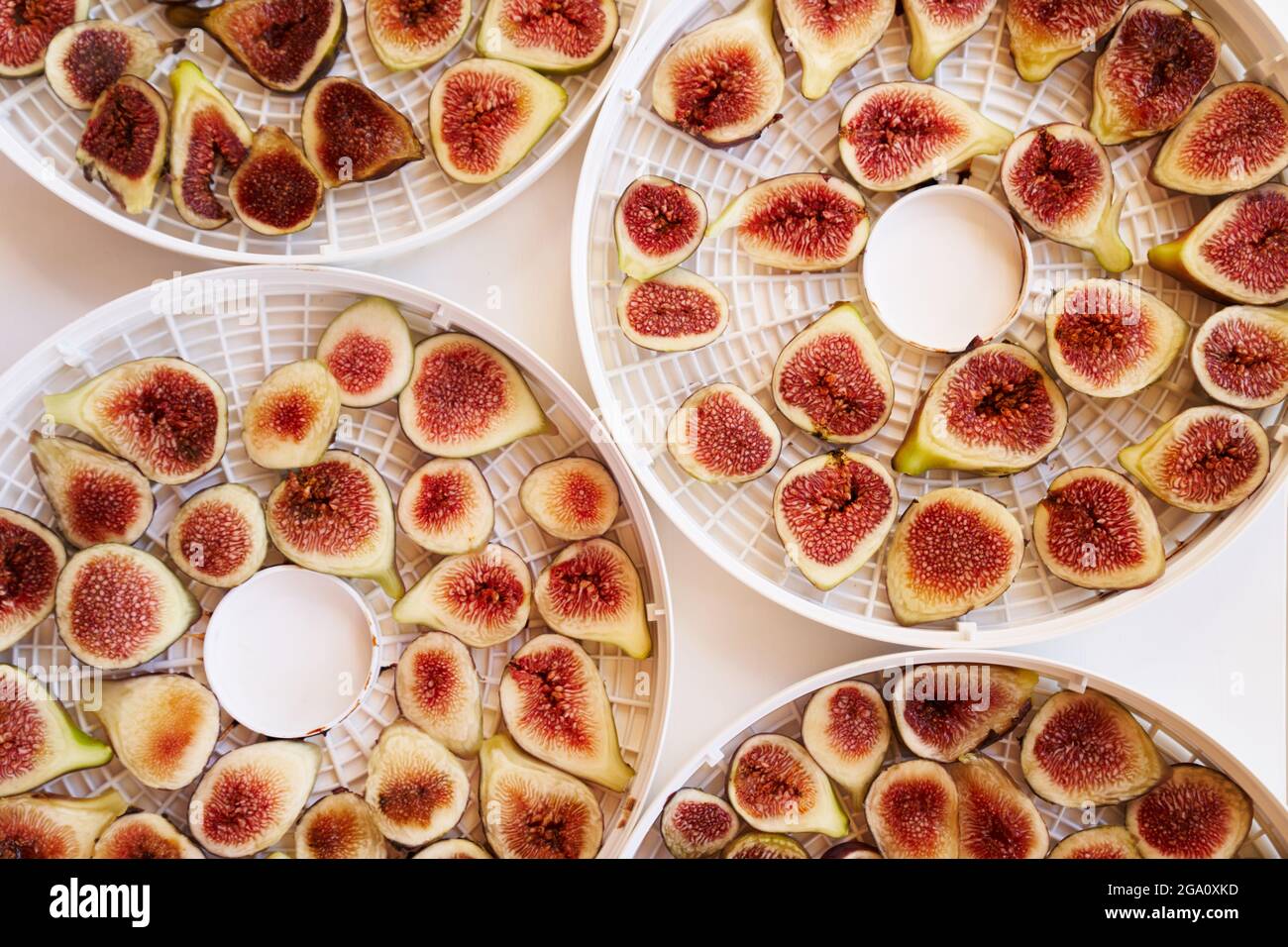 Drying process of sliced figs on white plates Stock Photo Alamy