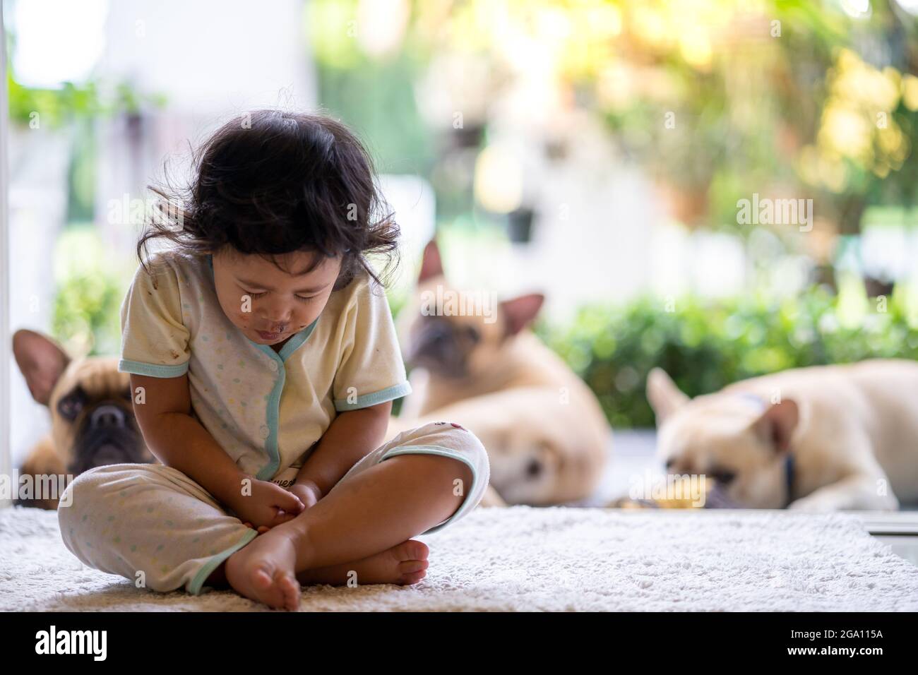 Cute sad girl sitting on the floor with dogs behind her Stock Photo - Alamy