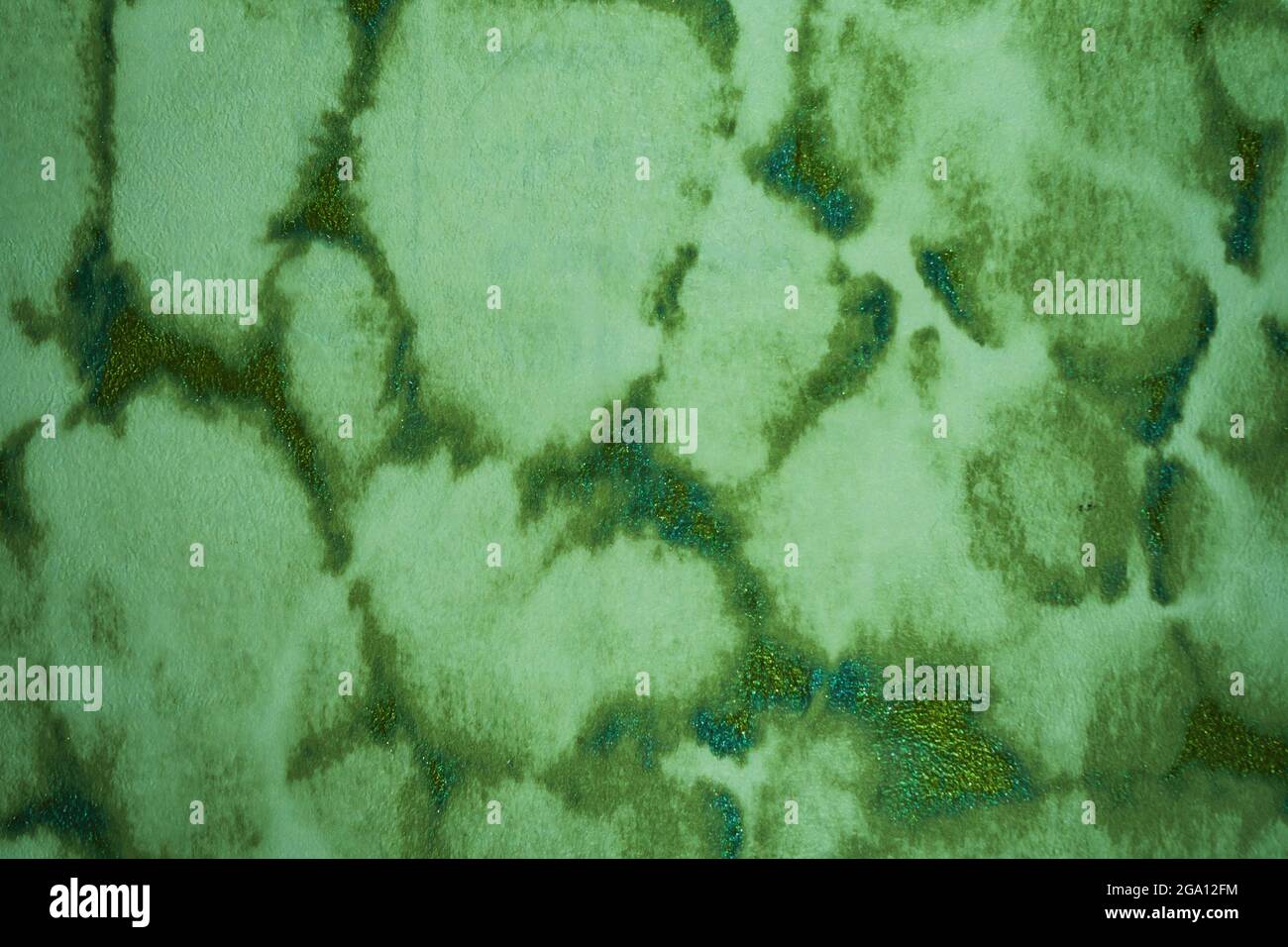 Old Wall Texture Green Abstract Grunge Background Stock Photo