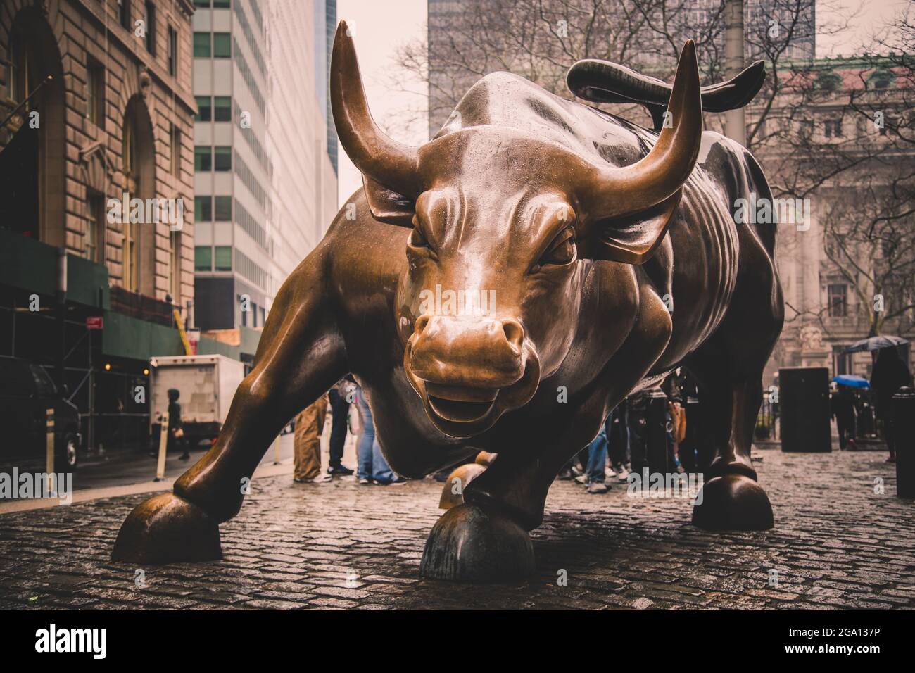 Charging Bull in Lower Manhattan, New York City Stock Photo Alamy