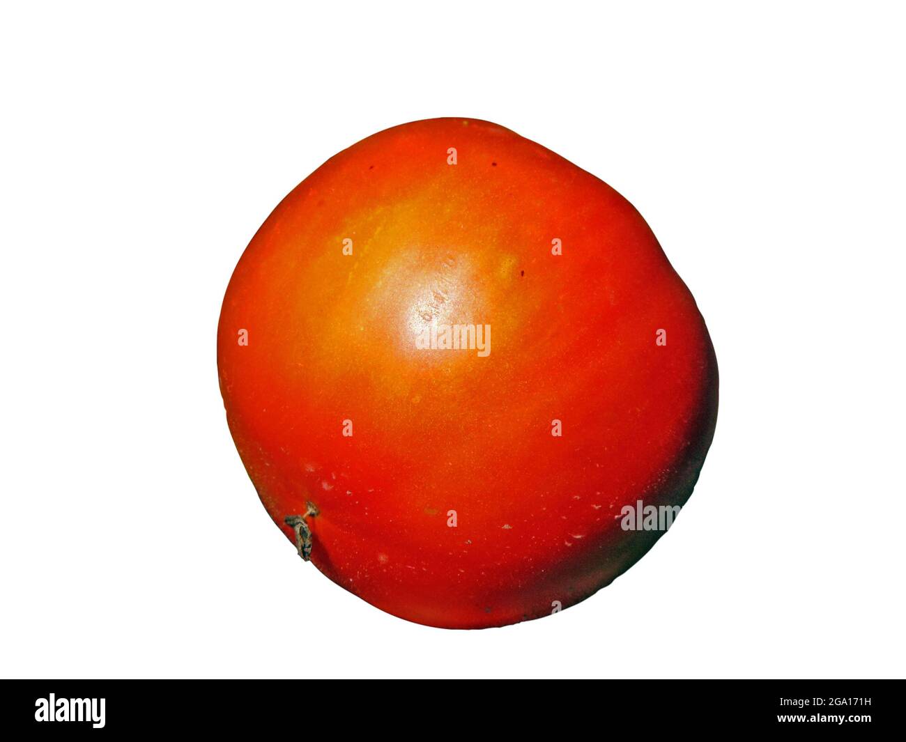 tomato isolated on white background Stock Photo - Alamy