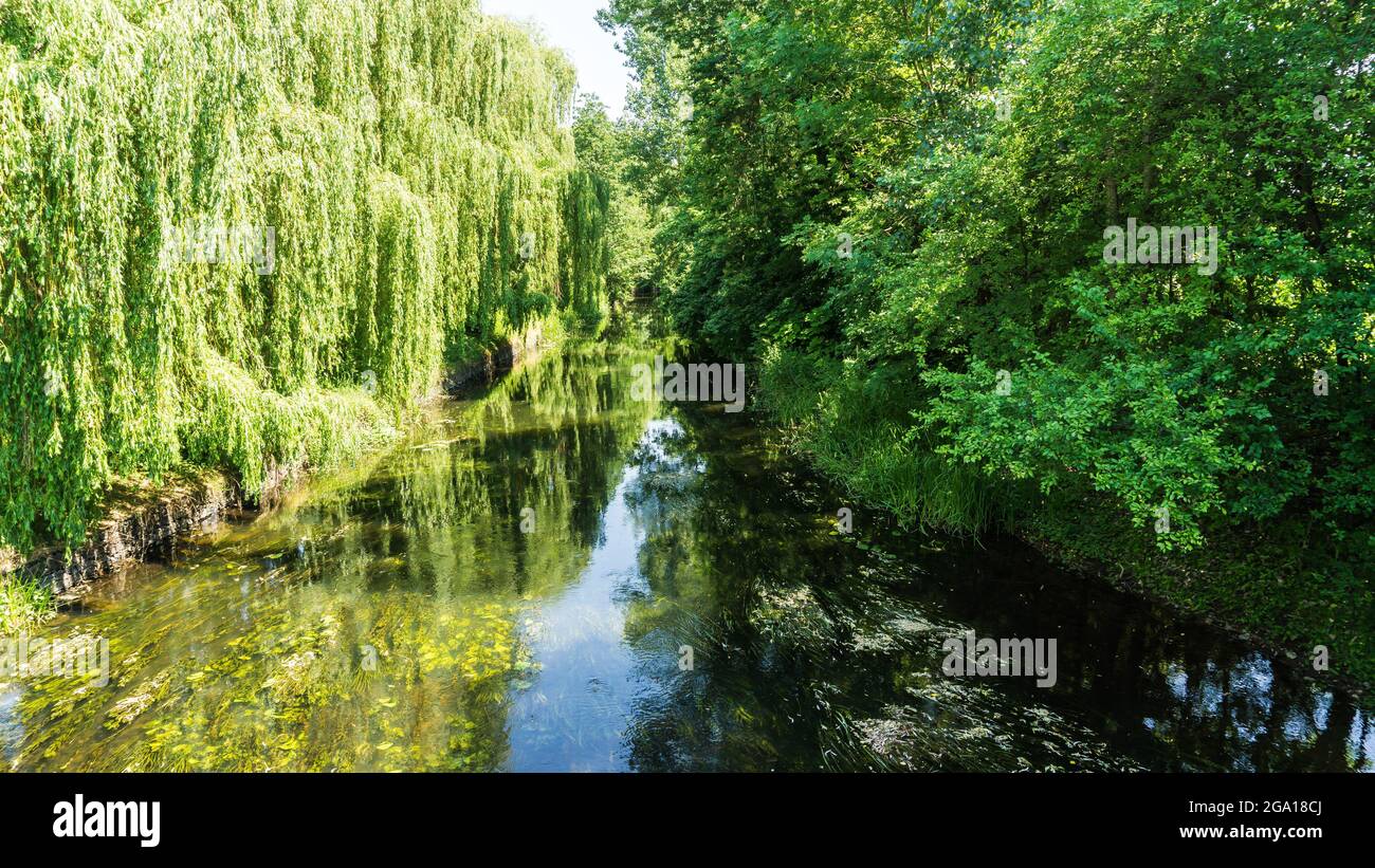 river Nebel with willow trees Stock Photo