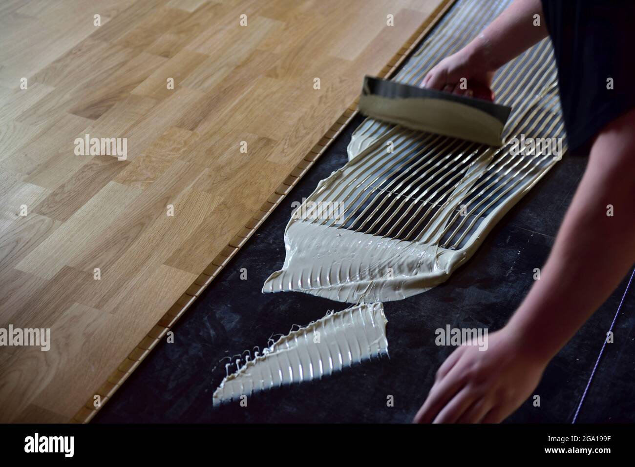 Workman spreading adhesive when installing laminate wooden tongue and groove flooring Stock Photo