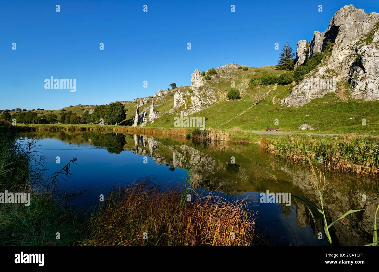 Pond in Eselsburg Valley near Herbrechtingen, rockformation 'Stony maiden' (Steinerne Jungfrauen) in the background, Baden-Württemberg, Germany Stock Photo