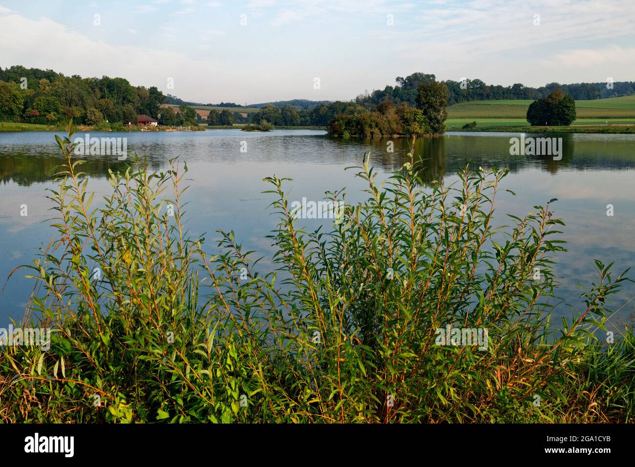 Lake Härtsfeld lake near Dischingen in the Härtsfeld, Heidenheim District, Baden-Württemberg, Germany Stock Photo