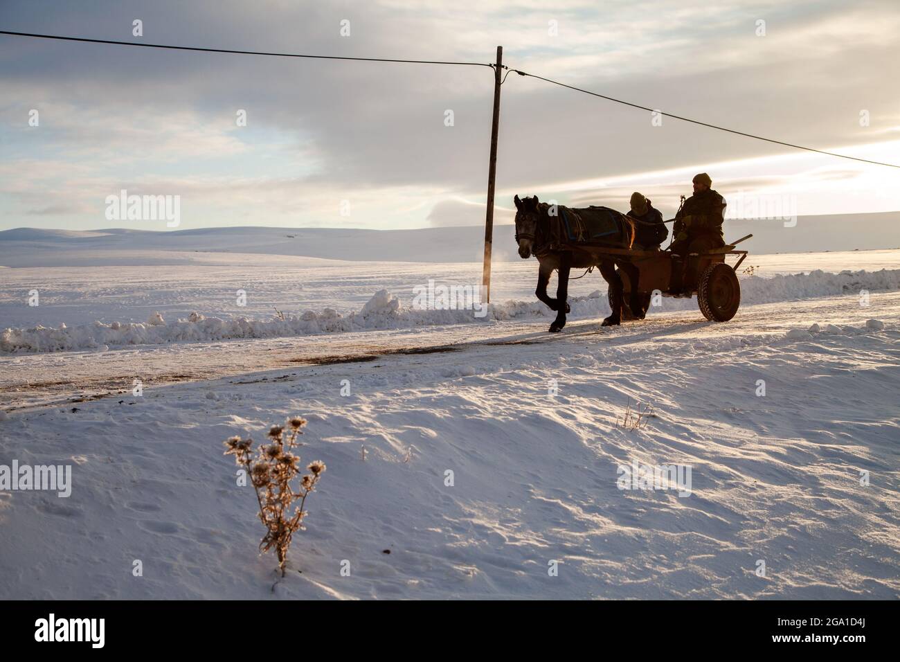 City snow horse carriage hi-res stock photography and images - Alamy