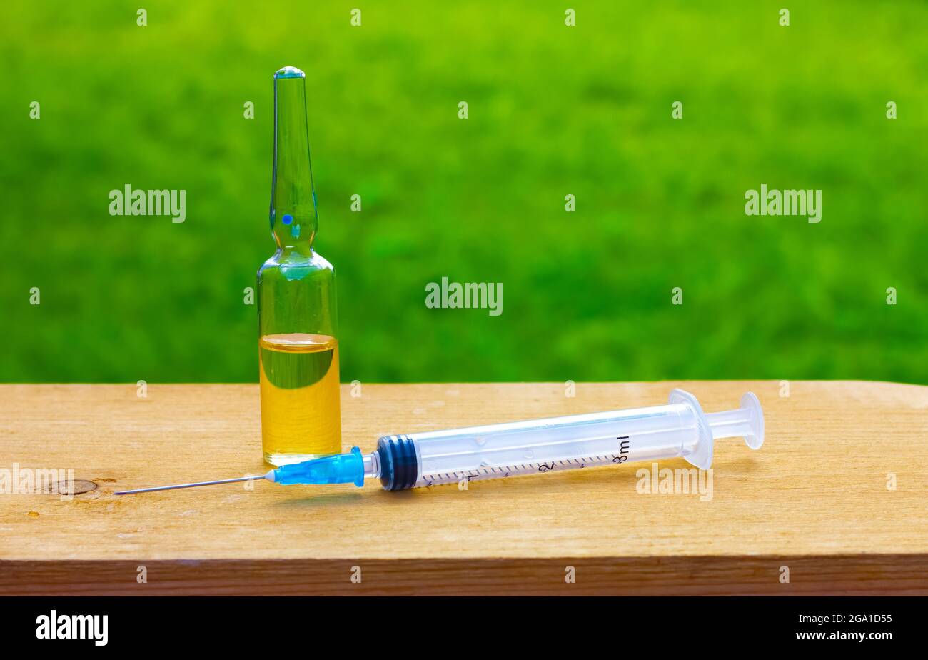 Vials and syringe on white background. Vaccination and immunization Stock Photo