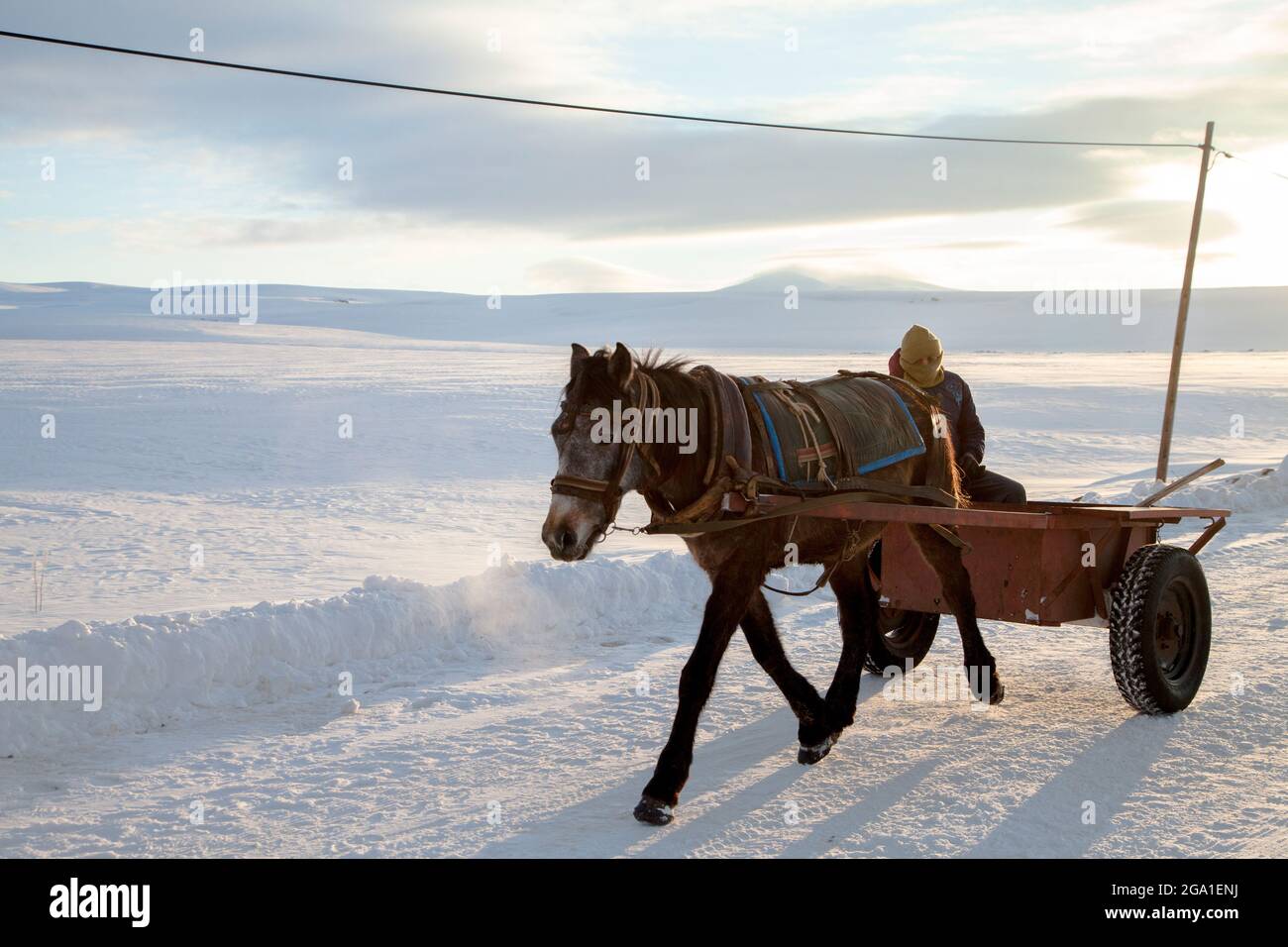 City snow horse carriage hi-res stock photography and images - Alamy