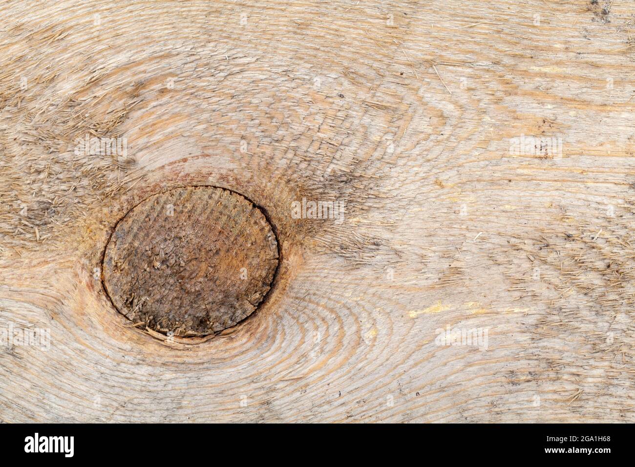 Rough wood knot hires stock photography and images Alamy