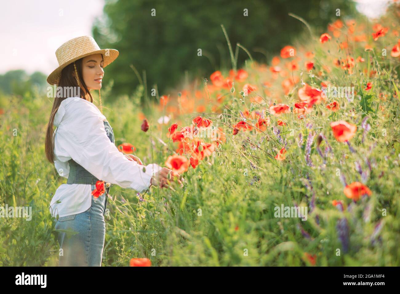 Young woman in straw hat enjoys by flowering poppies among meadow. Copy space. Stock Photo
