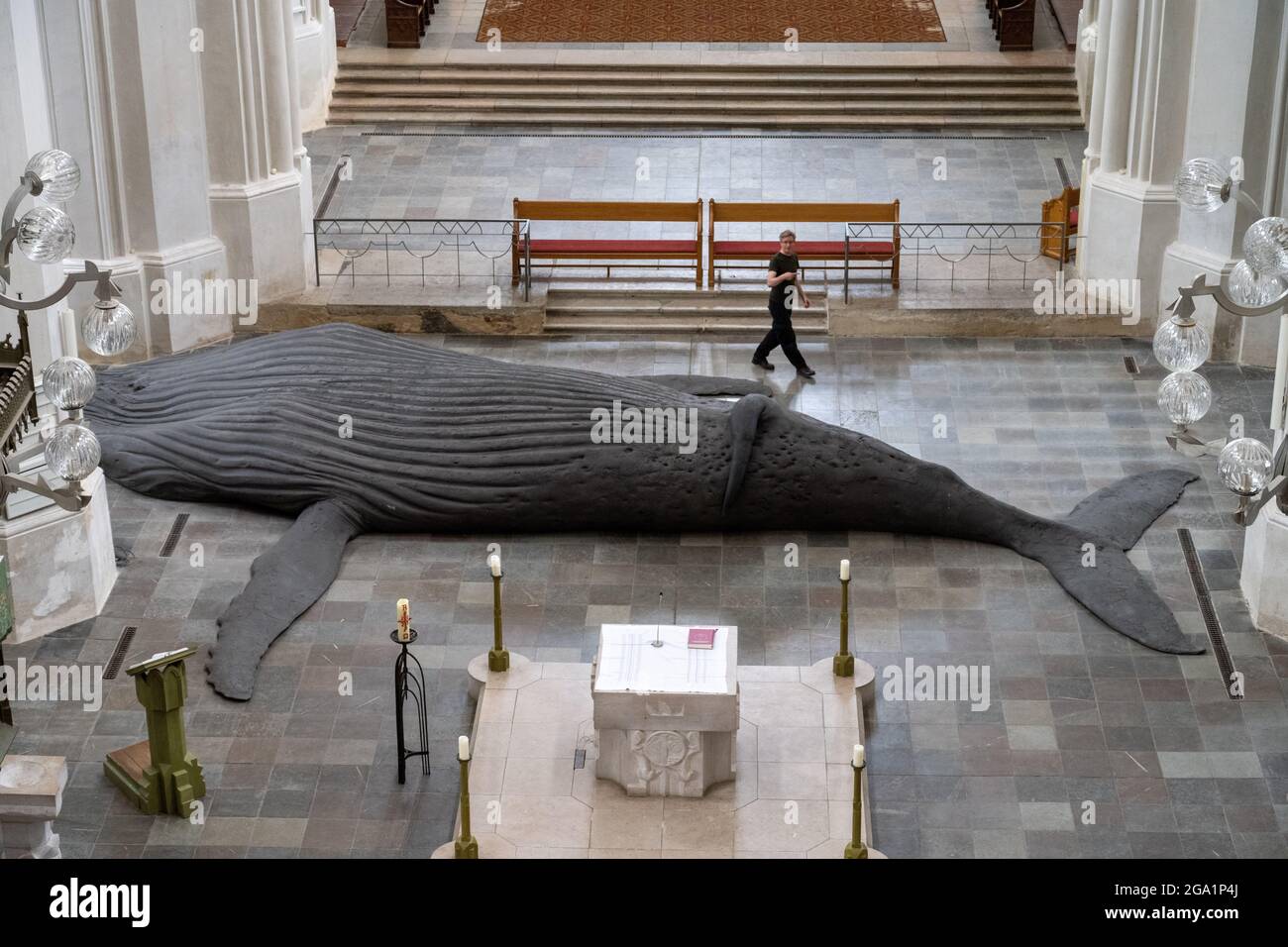 Greifswald, Germany. 28th July, 2021. Gil Shachar, an artist from Isarel,  is setting up a whale sculpture of a humpback whale in St. Nicholas  Cathedral. The 14-metre-long whale sculpture is a cast