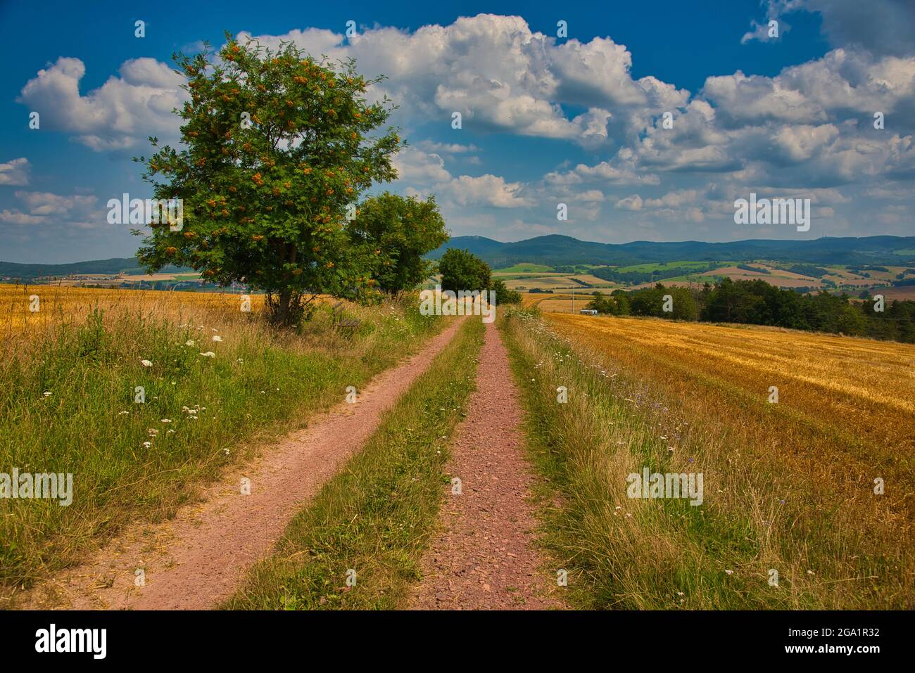 landscape near Bad Salzungen in Thuringia in Germany Stock Photo