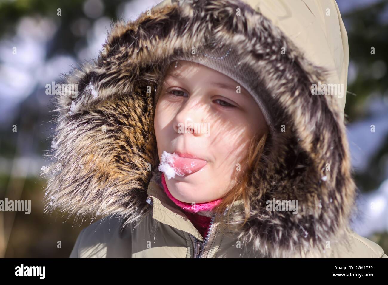 A little girl catching snowflakes on the tongue. Happy child walking outdoors in cold sunny day and enjoying winter. Stock Photo