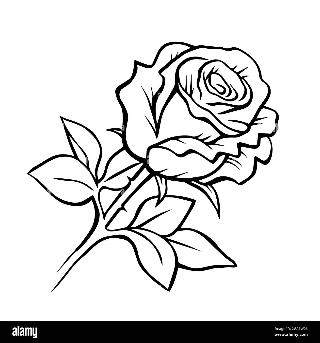 Black and white rose hand drawn. Plants and flowers. Decorative design.  Vector isolated outline illustration Stock Vector Image & Art - Alamy