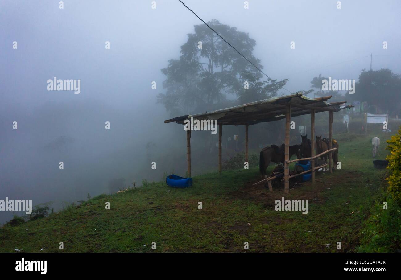 El maravilloso clima frio de nuestro campo colombiano Stock Photo