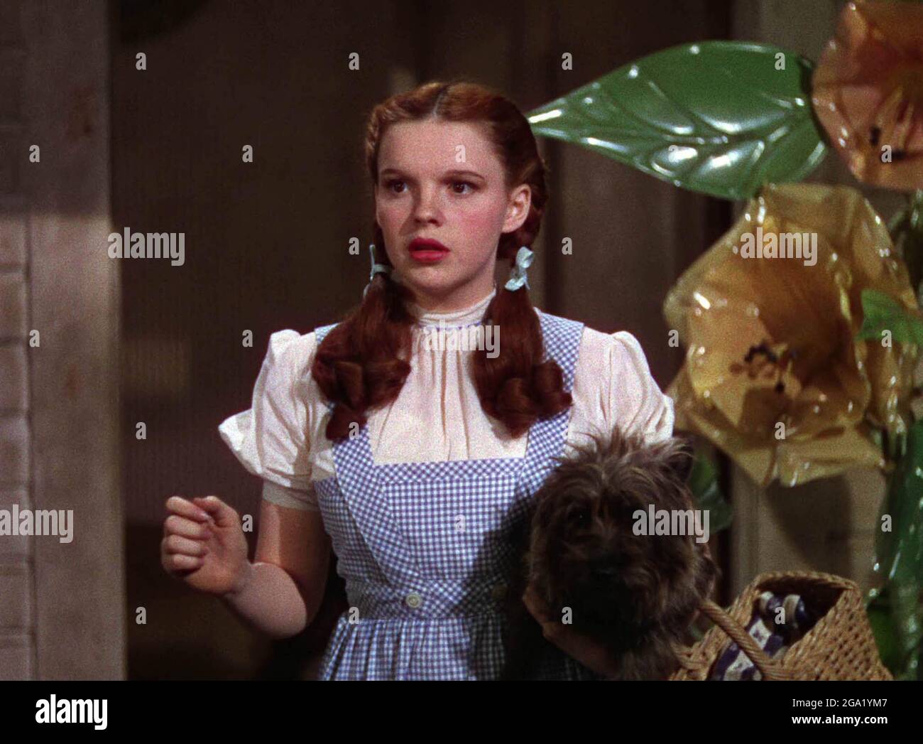 Los Angeles.CA.USA. Judy Garland as Dorothy in the film 'The Wizard Of ...