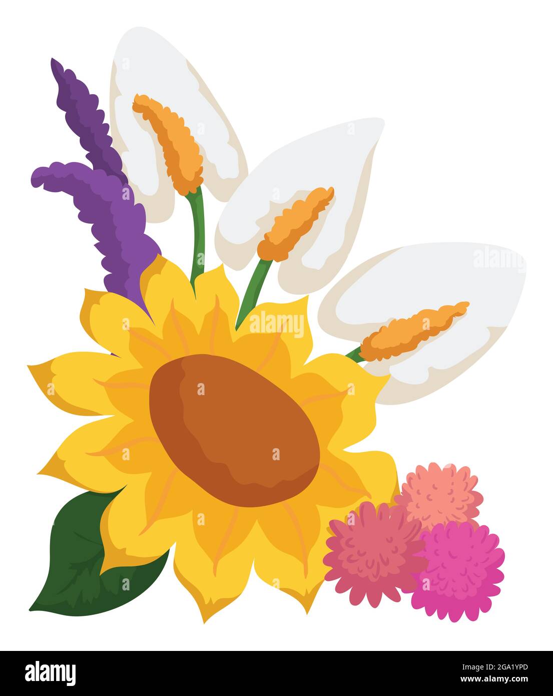 Beautiful floral arrangement made with colorful flowers: yellow sunflower, pink pompom dahlias, white anthuriums and purple lavenders. Stock Vector