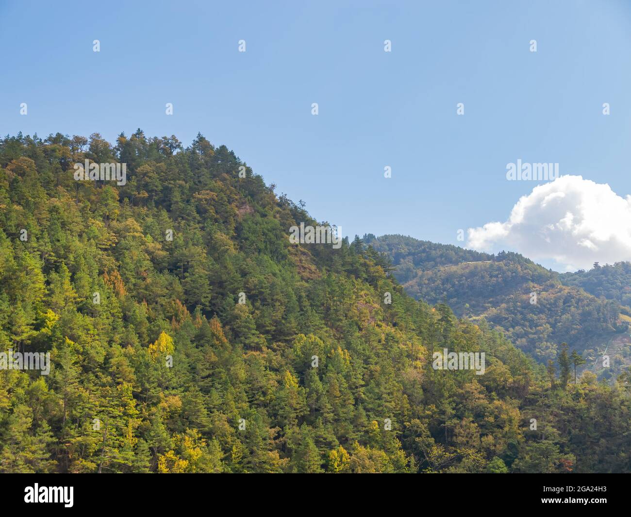 Autumn landscape in Wuling Farm at Taichung, Taiwan Stock Photo