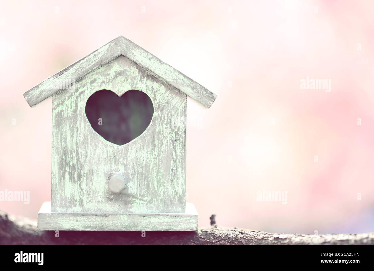 Decorative nesting box on bright background Stock Photo Alamy