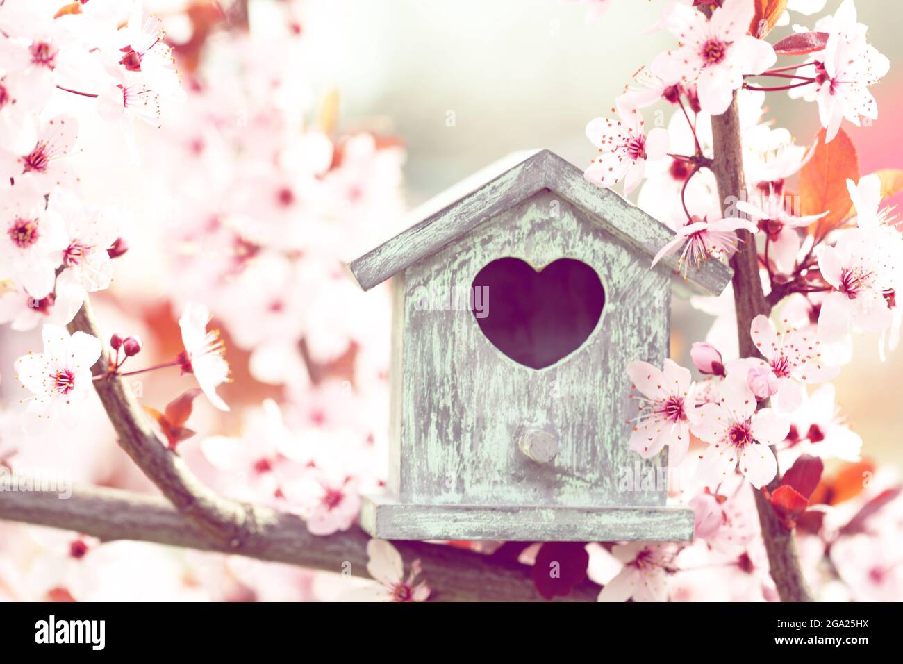 Decorative nesting box on bright background Stock Photo Alamy