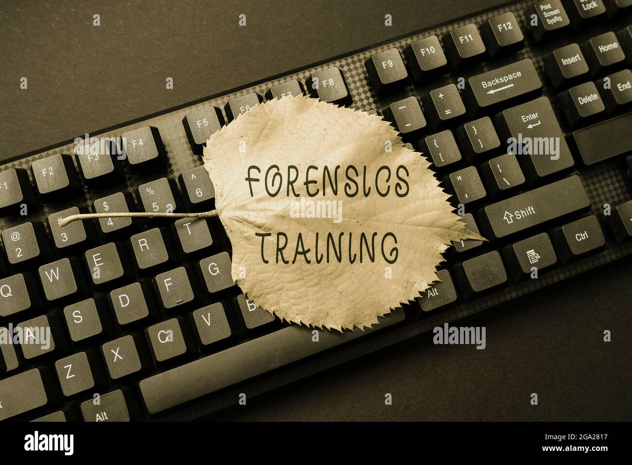 Text caption presenting Forensics Training. Word Written on scientific methods and processes to solving crimes Retyping Old Worksheet Data, Abstract Stock Photo