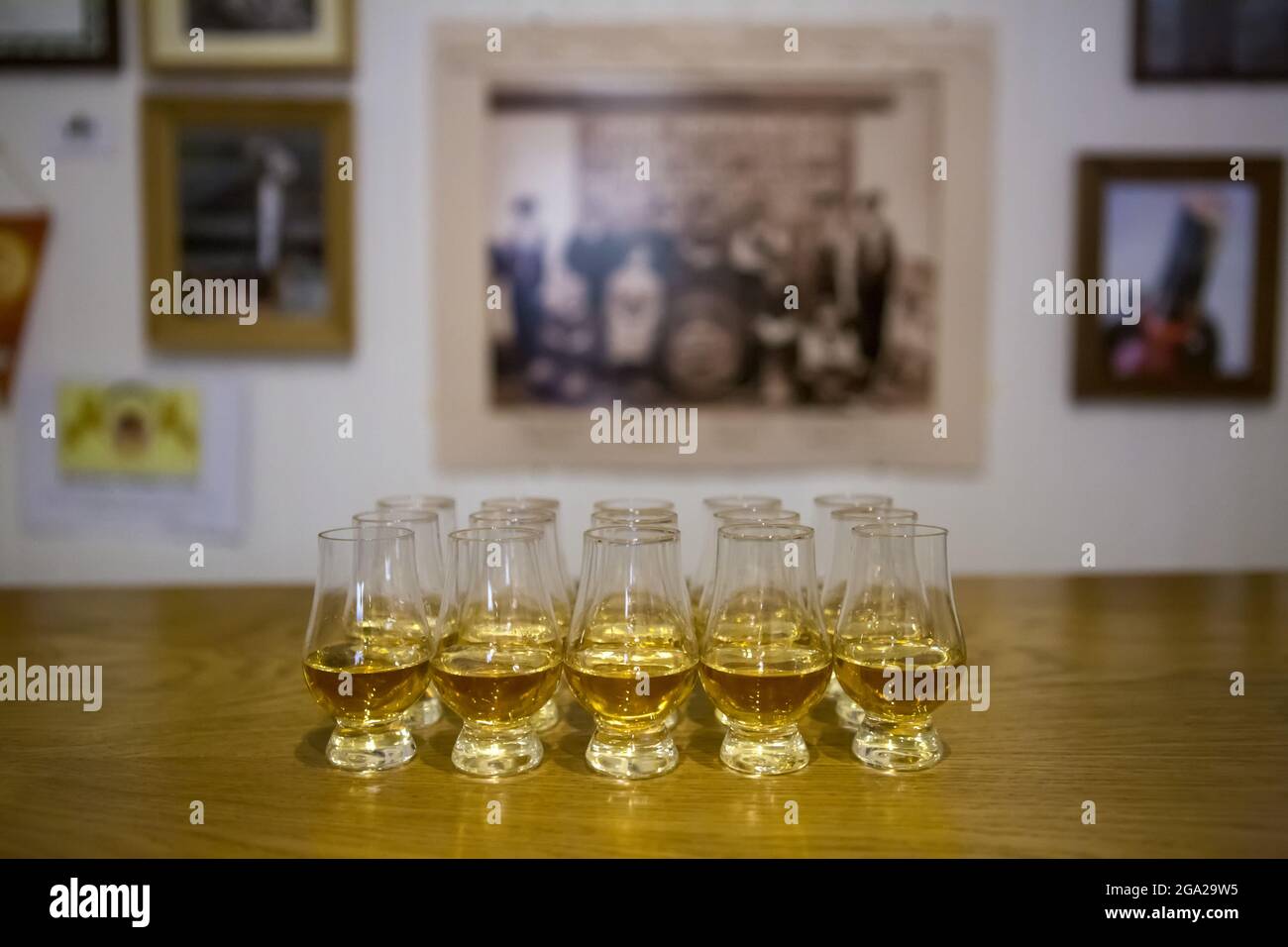Shots of whiskey are lined up on a bar in Tobermory Distillery, Scotland. Stock Photo