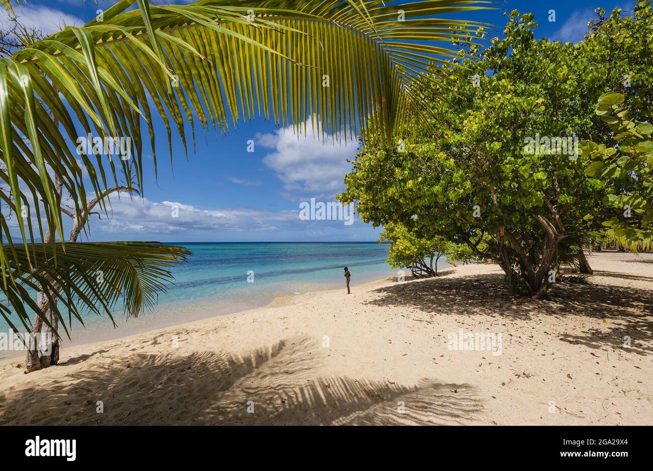 Anse du souffleur beach guadeloupe hi-res stock photography and images -  Alamy