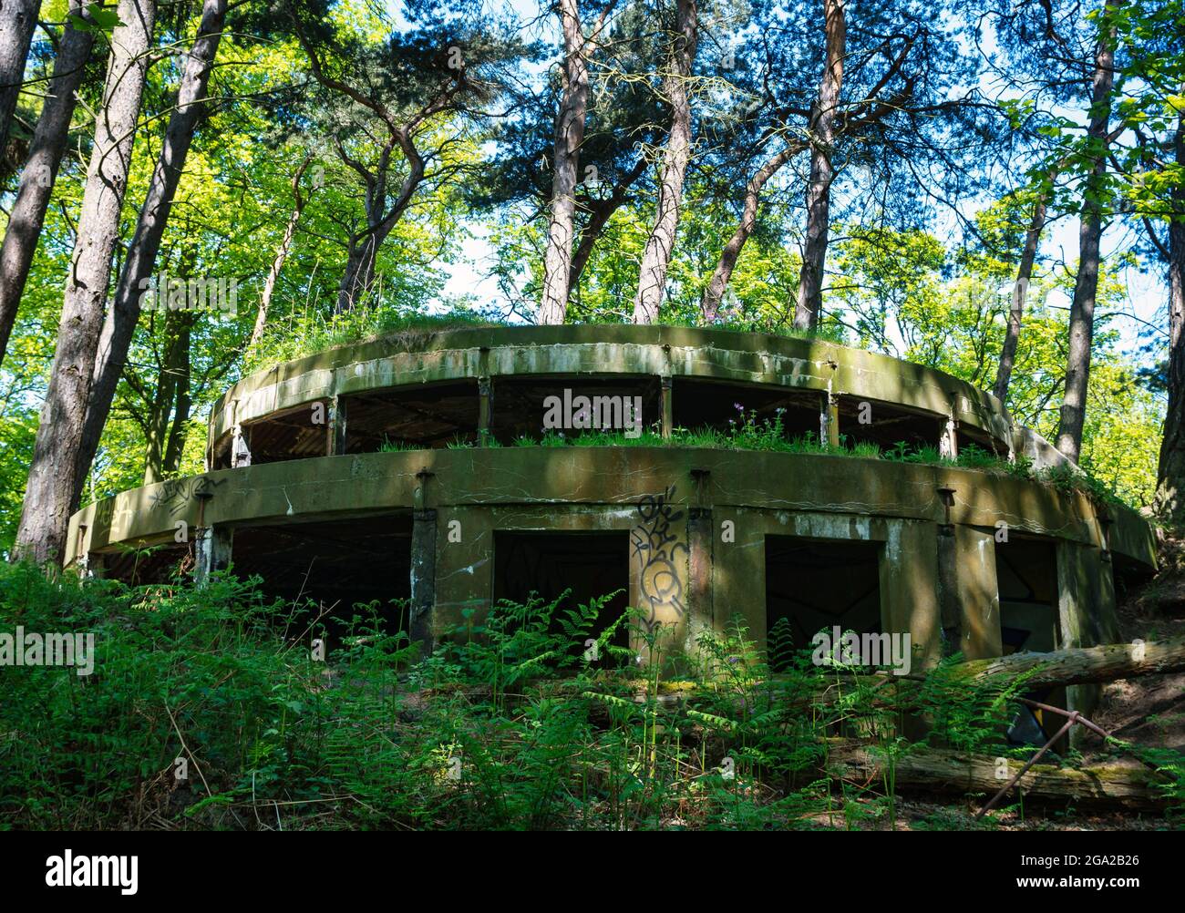 Derelict world war II gun emplacement hidden in woodland, Hound Point, Dalmeny Estate, Scotland, UK Stock Photo