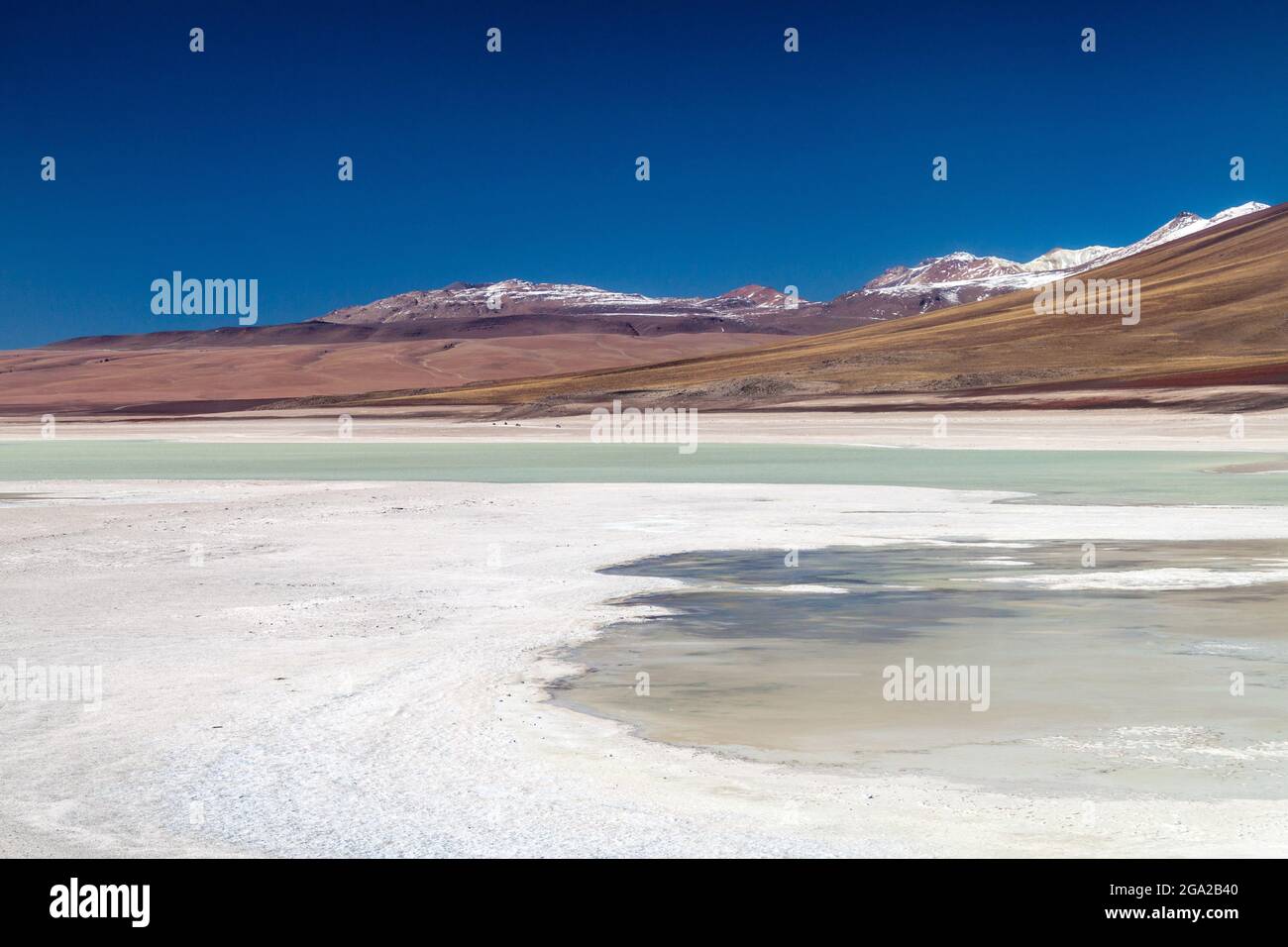 Laguna Blanca lake in Reserva Nacional de Fauna Andina Eduardo Avaroa protected area, Bolivia Stock Photo