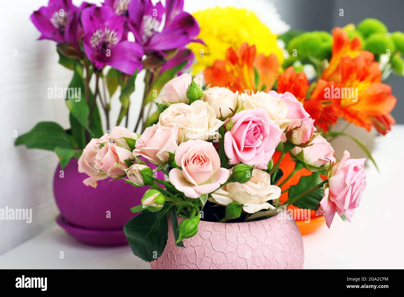 Beautiful flowers in pots on light background Stock Photo Alamy