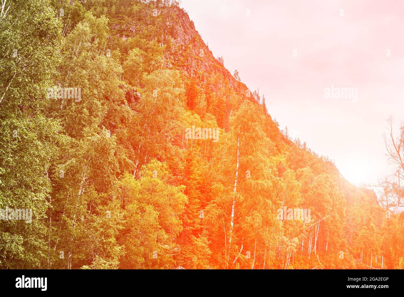 Vacation landscape. Russian Altai mountains. Multa region. Staycation concept Stock Photo