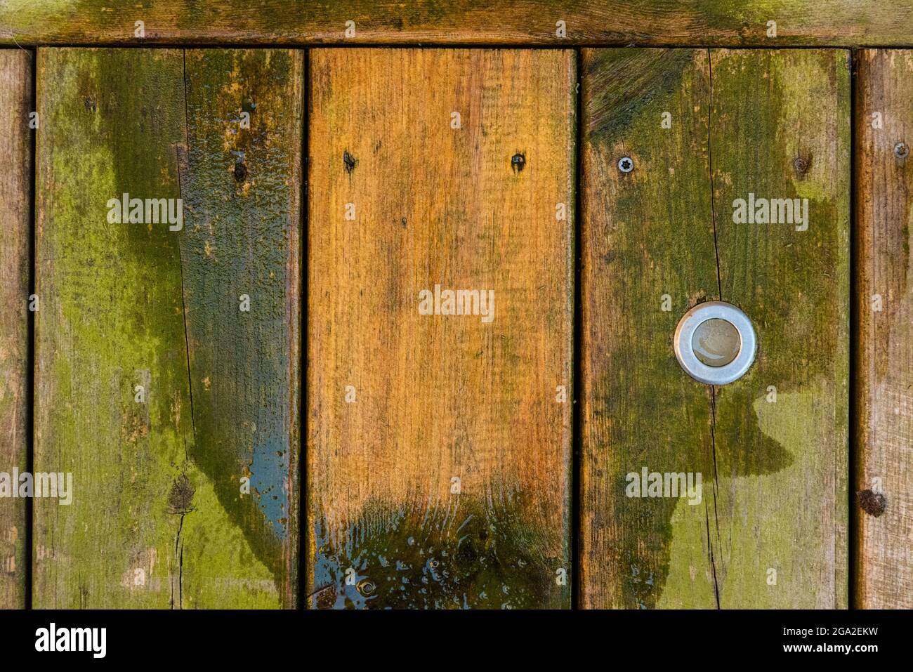Green algae being washed off a wooden deck, showing before and after Stock Photo Alamy