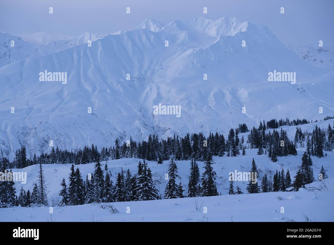 Snow covered mountains and wintry landscape with rows of conifers in the soft, morning light, situated on the Traditional Territory of the Champagn... Stock Photo