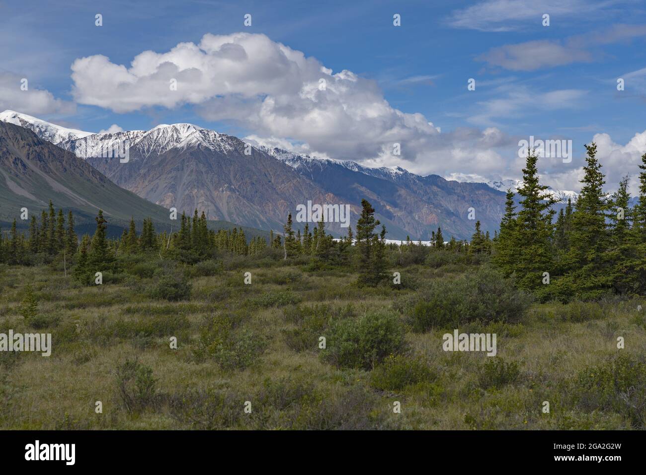 The landscape of Kluane National Park, grassy rangeland and snowcapped mountains with billowing clouds in a blue sky. An amazing place of huge moun... Stock Photo