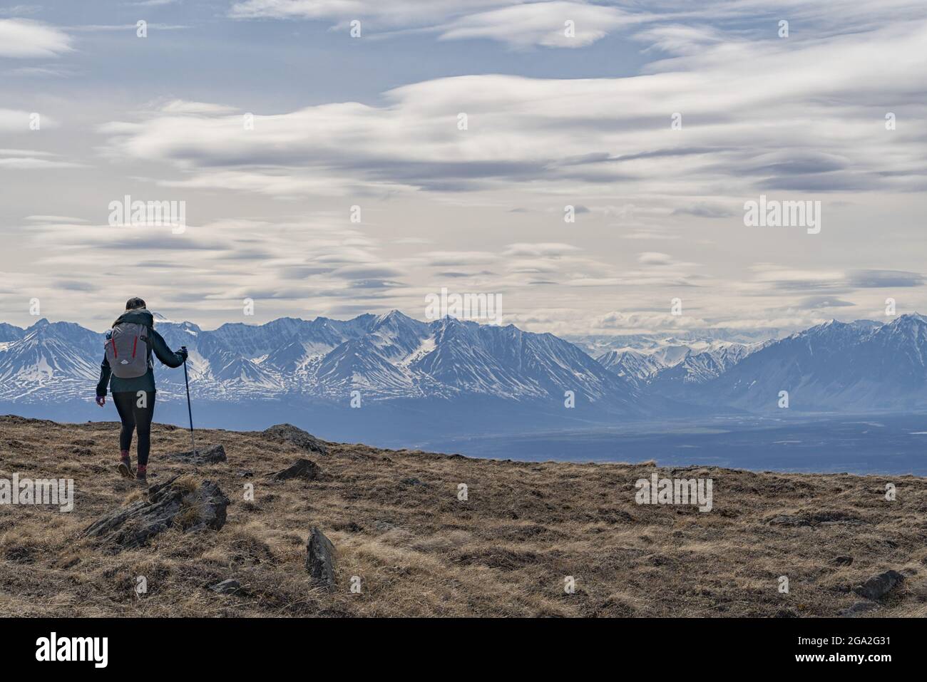 View taken from behind of a woman hiking with trekking poles on the rugged vegetation and rocks of the tundra in front of a silhouetted mountain ra... Stock Photo