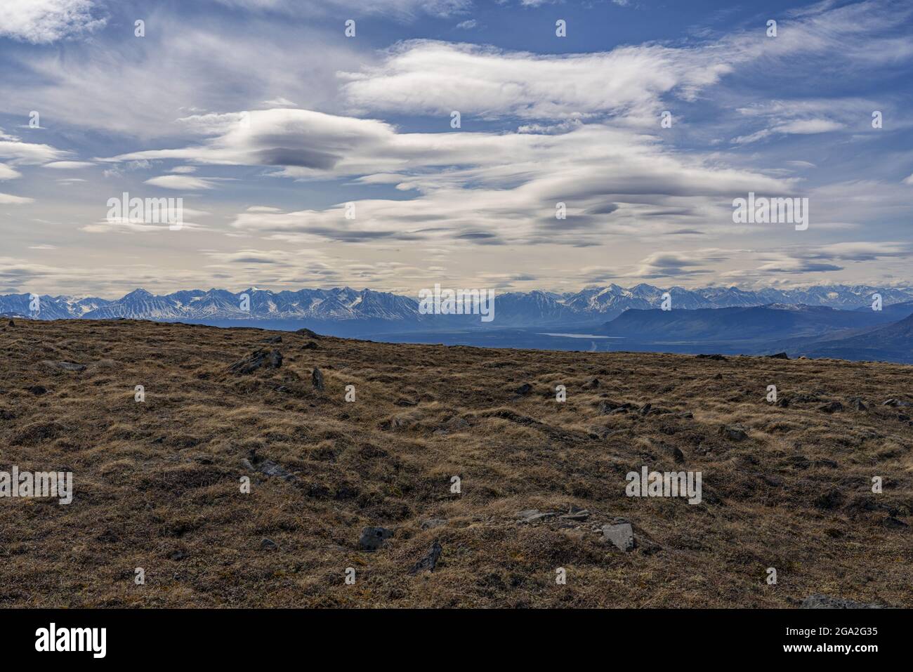 Brown, grassy vegetation and rocks sticking up from the tundra in front of a silhouetted mountain range with a cloudy blue sky Stock Photo