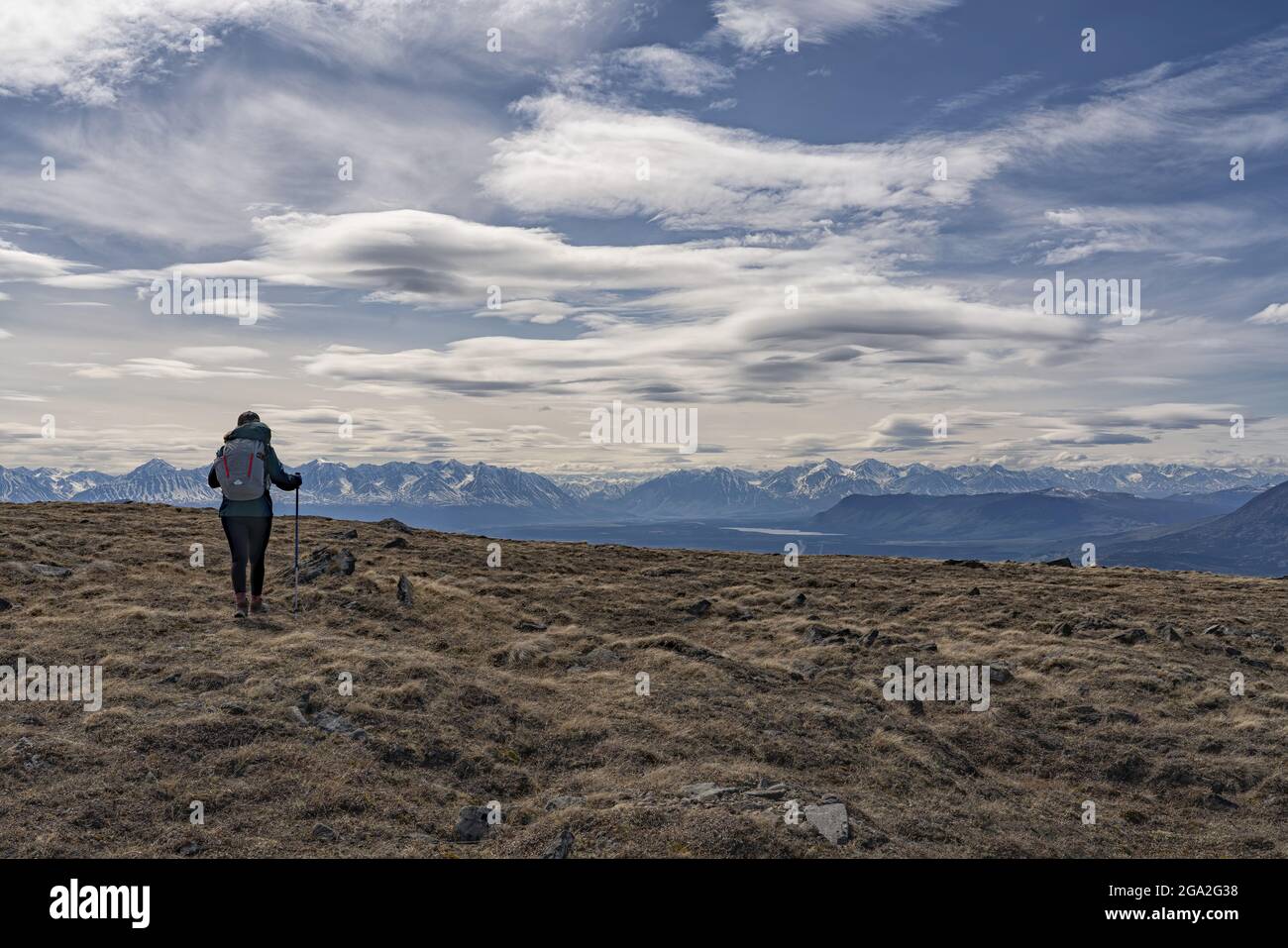 View taken from behind of a woman hiking with trekking poles on the rugged vegetation and rocks of the tundra in front of a silhouetted mountain ra... Stock Photo