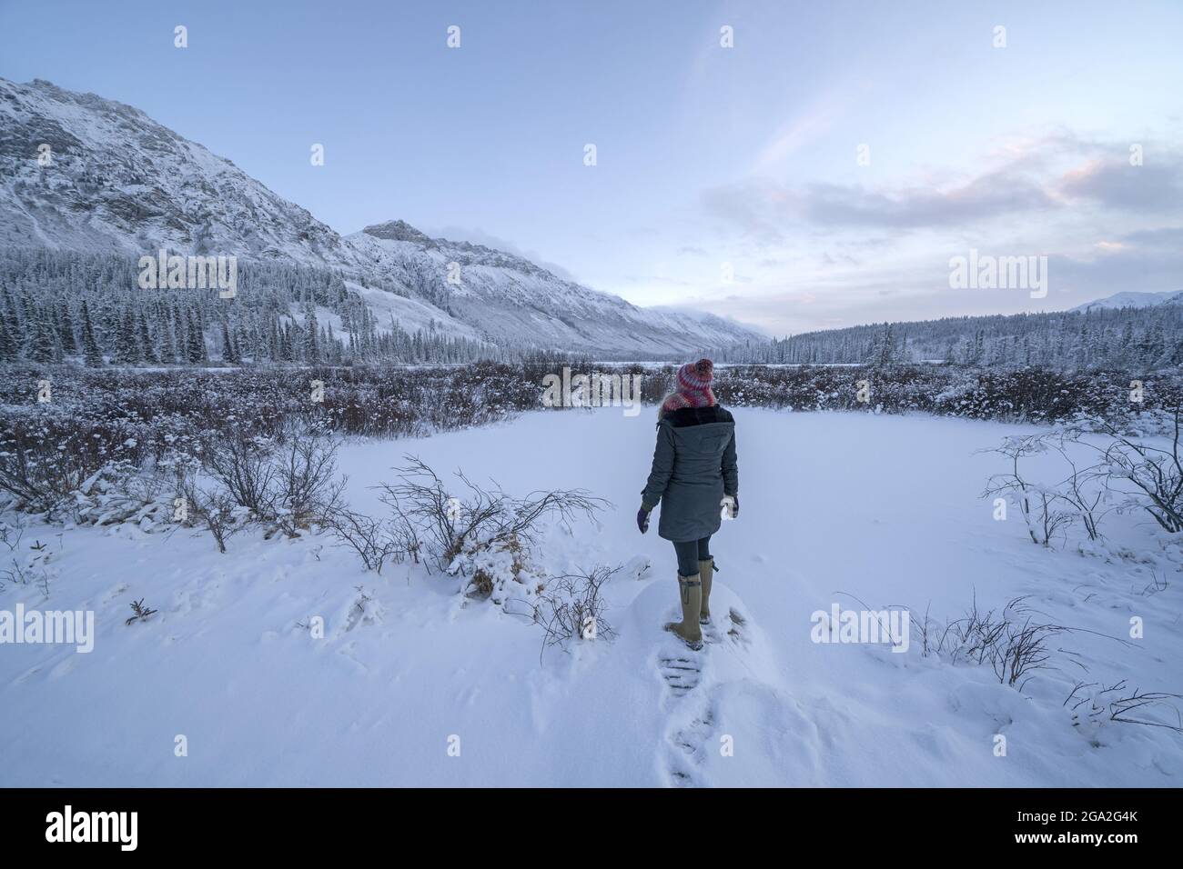 View from behind of a woman standing in a snowy field looking at the snow covered mountains in the soft, morning light; Whitehorse, Yukon, Canada Stock Photo
