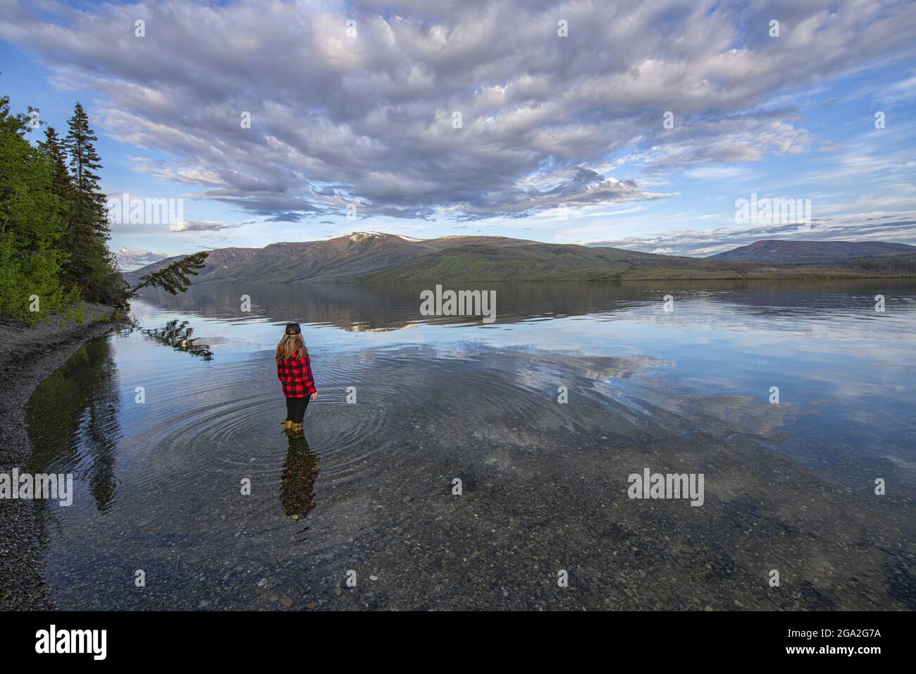 View taken from behind of a woman standing in Little Salmon Lake close to shore, enjoying the view during the late afternoon in the traditional ter... Stock Photo