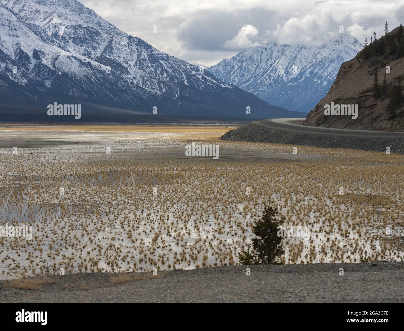Sparse vegetation appearing from the dried up portion of Kluane Lake along the Alaska Highway, situated in the Traditional Territory of the Champag... Stock Photo