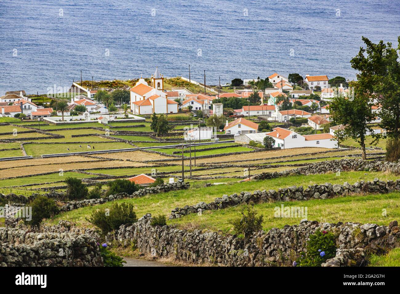 Overview of houses and grassy farmland separated by stone walls along