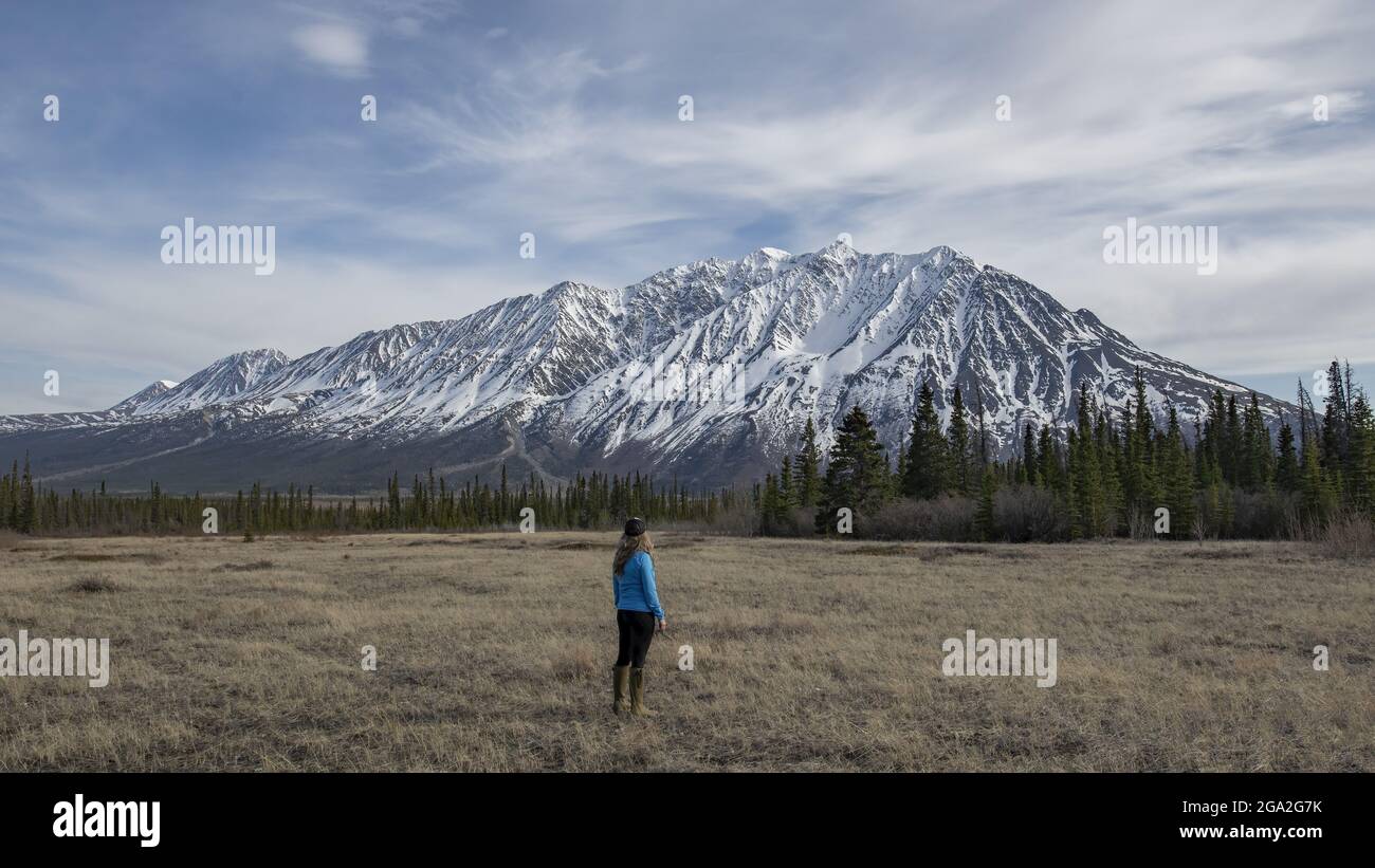 Woman standing in a field looking at the mountains surrounding the town of Haines Junction situated in the Traditional Territory of the Champagne a... Stock Photo