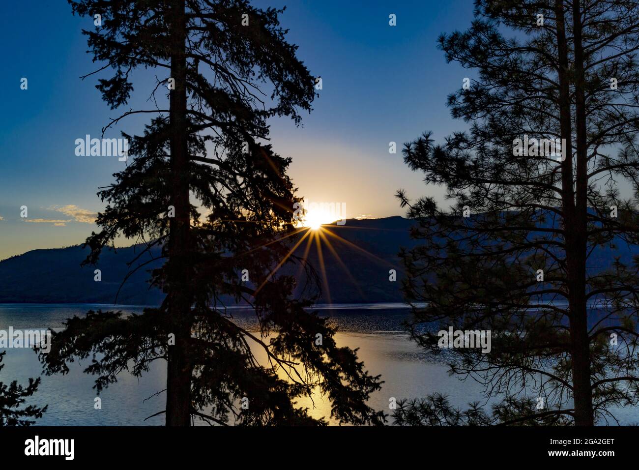 Sunburst over the hills at sunset and Okanagan Lake framed by silhouetted trees; Peachland, British Columbia, Canada Stock Photo
