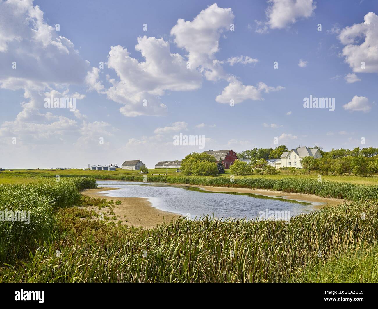 Picturesque view of Zimmerman Road Country Farm with grassy fields and a pond under a blue sky with puffy white clouds Stock Photo
