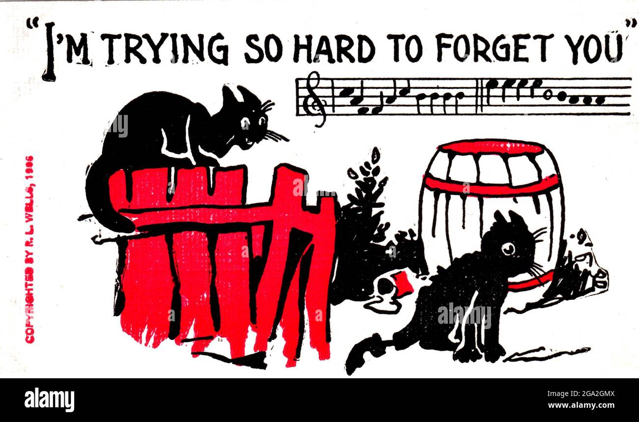 I'm trying hard to forget you 1906 postcard cartoon featuring andromorphic cats & kittens  Postal card has song title & 2 bars of music Stock Photo