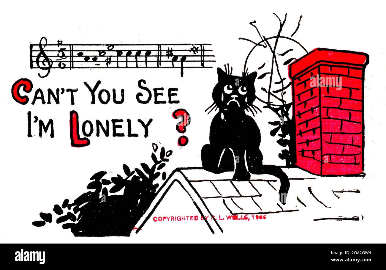 Can't you see I'm lonely, 1906 postcard cartoon featuring andromorphic cats & kittens  Postal card has song title & 2 bars of music Stock Photo