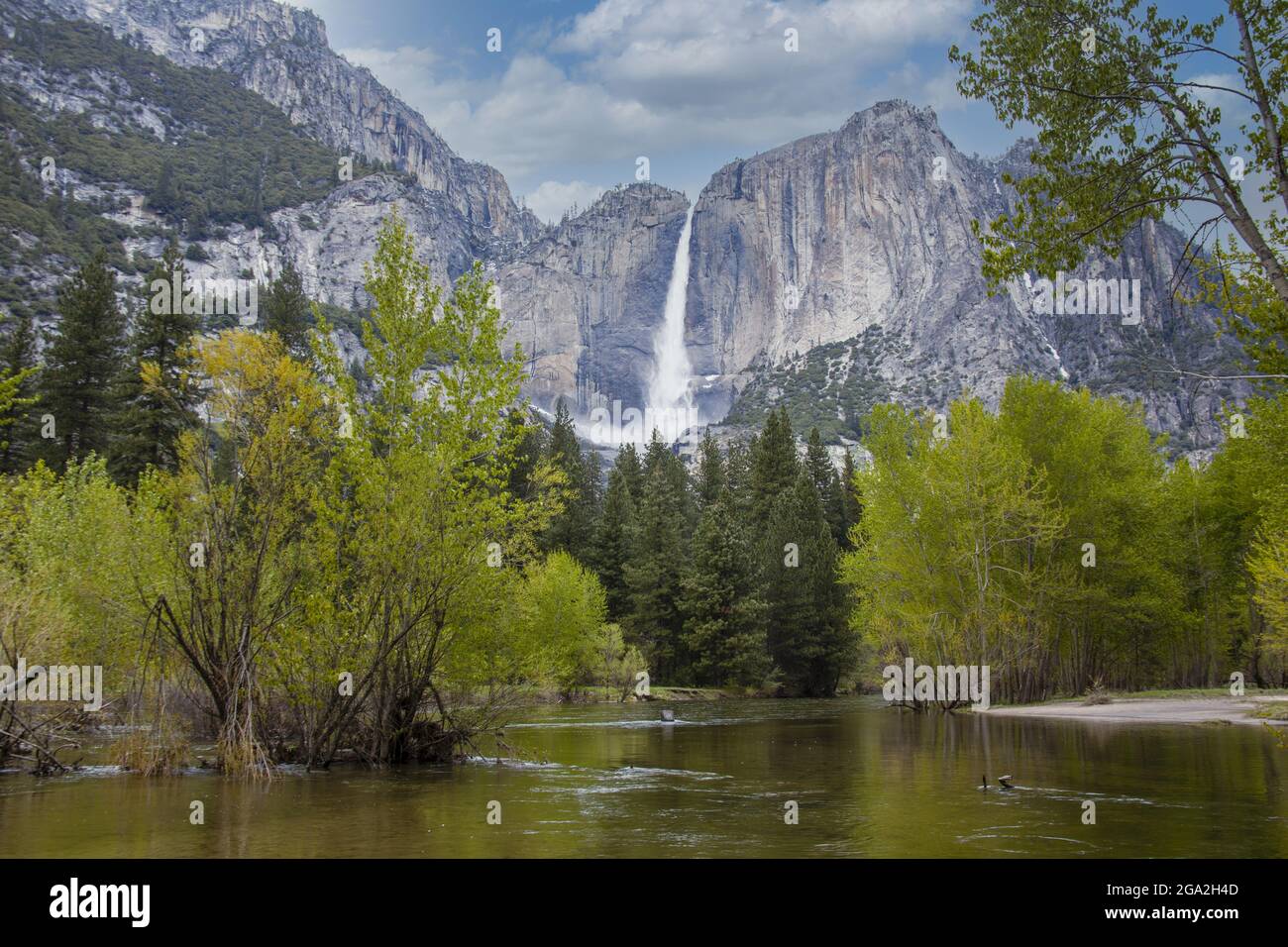 Yosemite Falls in Yosemite National Park; California, United States of